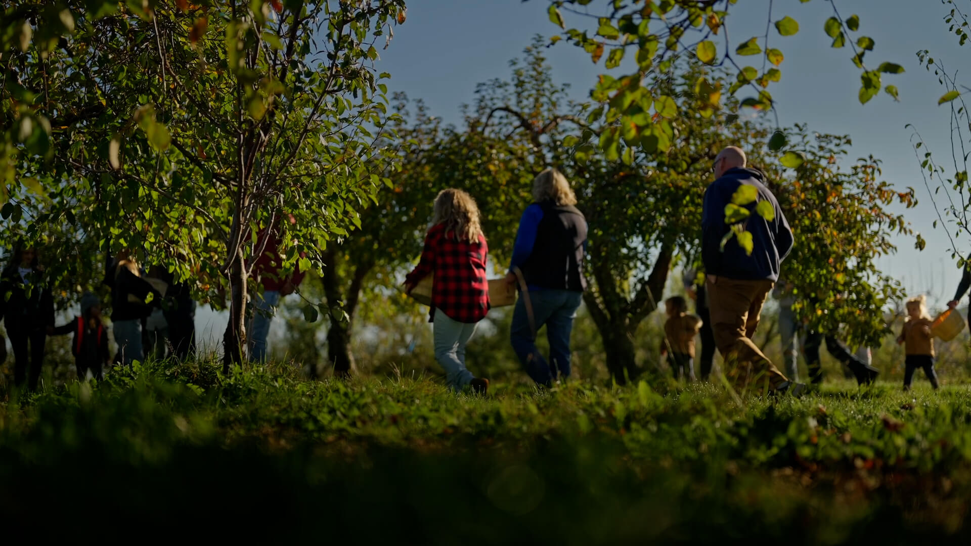 Resources Benedict Real Estate Group